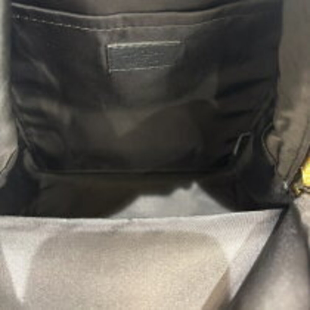 Louis Vuitton Palm Springs Backpack Monogram Daypack - Picture 8 of 9